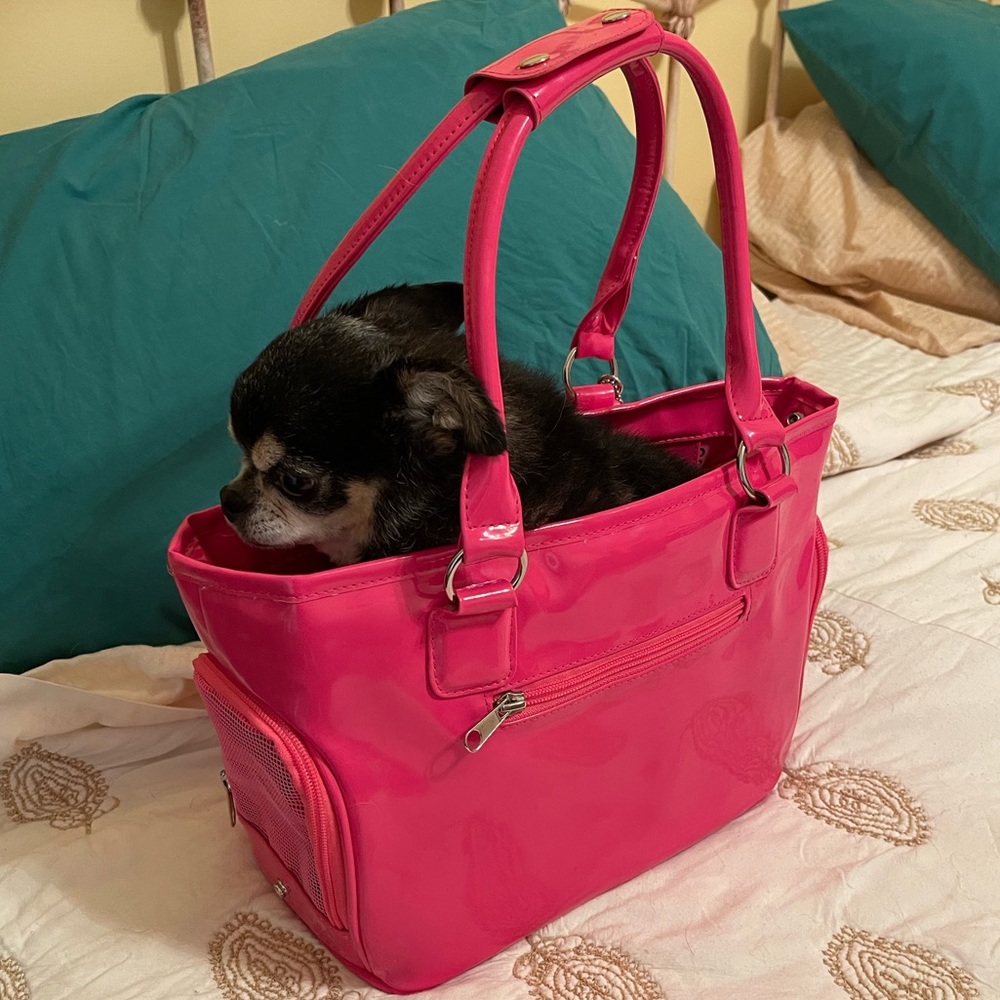 Pink pet carrier